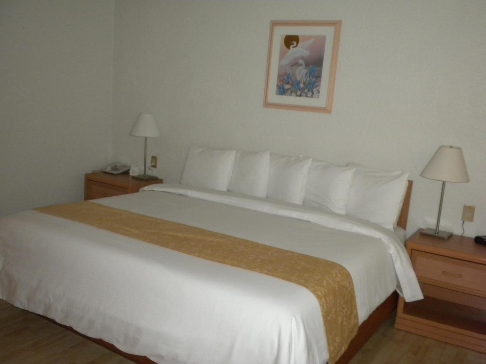 Hotel Pf Mexikóváros Kültér fotó